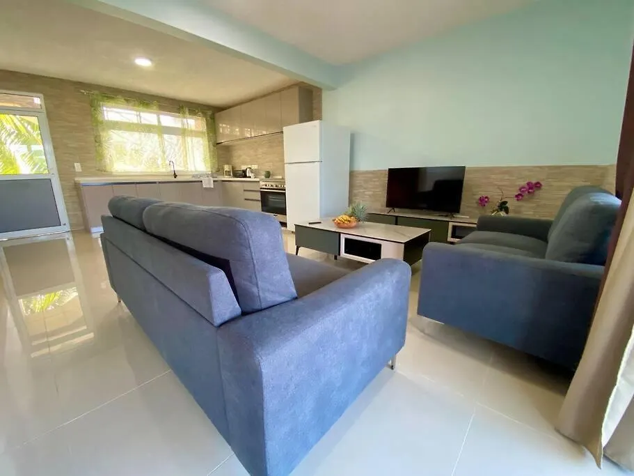 Taina - Terrasse - Bord De Mer - Opoa Apartment